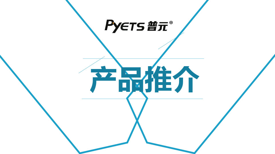 Manual de promoção eletrônica de Pyets 2024.pdf