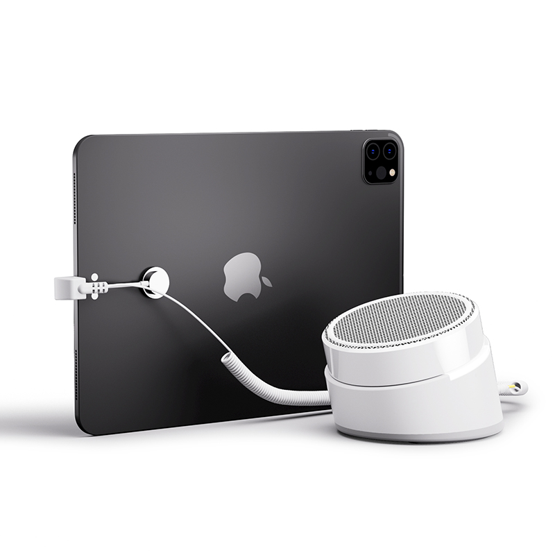 Tablet Alarm System Security Display Stand